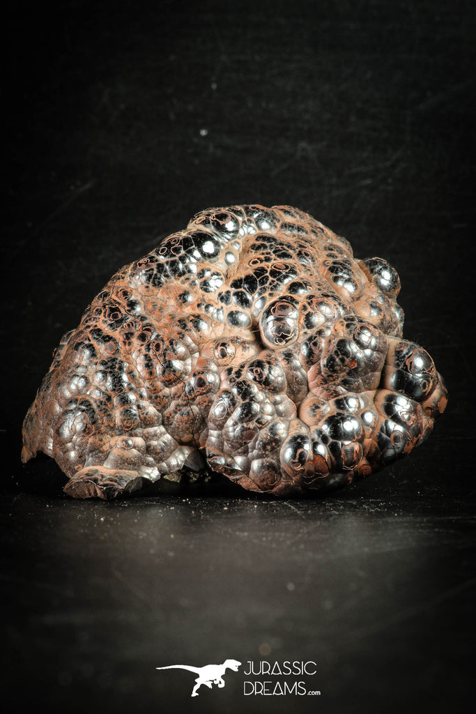 88519 - Dark Gray Bubbly Botryoidal 2.70 Inch Goethite from South Morocco