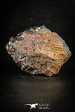 88520 - Dark Gray Bubbly Botryoidal 2.63 Inch Goethite from South Morocco