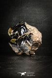 88522 - Dark Gray Bubbly Botryoidal 3.53 Inch Goethite from South Morocco