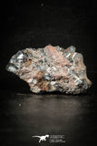 88523 - Dark Gray Bubbly Botryoidal 2.17 Inch Goethite from South Morocco