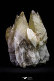 20674 - Top Beautiful Huge 6.13 Inch Calcite Crystals from South Morocco - New Location
