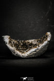22089 - Beautiful Purple Natural Quartz Geode Minas Gerais District - Brazil