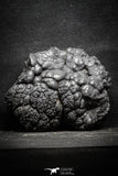 22092 - Botryoidal Goethite Cluster - Taouz, Morocco
