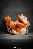22095 - Top Beautiful 3.91 Inch Natural Red Iron-Oxide Coated Quartz Crystals Cluster