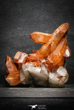 22095 - Top Beautiful 3.91 Inch Natural Red Iron-Oxide Coated Quartz Crystals Cluster