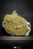 22096 - Beautiful 3.69 Inch Pyrite Crystals on Calcite from El Hammam Mine - Morocco