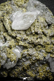 22096 - Beautiful 3.69 Inch Pyrite Crystals on Calcite from El Hammam Mine - Morocco