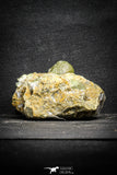 22100 - Lustrous Yellow Green Apatite Crystals on Brecciated Matrix - Imilchil (Morocco)