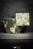 22101 - Beautiful 2.47 Inch Pyrite Crystals from famous Navajun Mines (Spain)