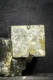 22101 - Beautiful 2.47 Inch Pyrite Crystals from famous Navajun Mines (Spain)