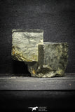 22101 - Beautiful 2.47 Inch Pyrite Crystals from famous Navajun Mines (Spain)