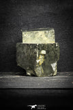 22101 - Beautiful 2.47 Inch Pyrite Crystals from famous Navajun Mines (Spain)