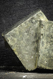 22101 - Beautiful 2.47 Inch Pyrite Crystals from famous Navajun Mines (Spain)