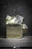 22103 - Beautiful 1.61 Inch Pyrite Crystals from famous Navajun Mines (Spain)