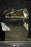 22103 - Beautiful 1.61 Inch Pyrite Crystals from famous Navajun Mines (Spain)