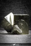 22104 - Beautiful 1.37 Inch Pyrite Crystals from famous Navajun Mines (Spain)