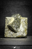 22105 - Beautiful 2.55 Inch Pyrite Crystals from famous Navajun Mines (Spain)