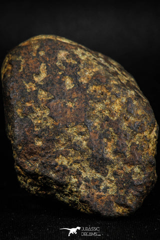 06000 - Fully Complete NWA L-H Type Unclassified Ordinary Chondrite Meteorite 120.0g