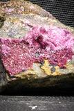 22111 - Nice Pink Erythrite Crystals on Matrix - Bou Azzer Mine (South Morocco)
