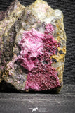 22111 - Nice Pink Erythrite Crystals on Matrix - Bou Azzer Mine (South Morocco)