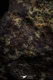 06000 - Fully Complete NWA L-H Type Unclassified Ordinary Chondrite Meteorite 120.0g