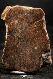 06001 - Nice Polished Section NWA Unclassified L-H Type Ordinary Chondrite Meteorite 18.0g