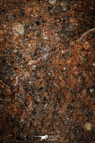 06001 - Nice Polished Section NWA Unclassified L-H Type Ordinary Chondrite Meteorite 18.0g
