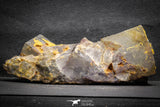 22112 -  Top Pale Blue Fluorite Crystals on Matrix Hameda Fluorite Mine South Morocco