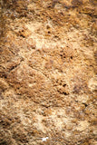 06001 - Nice Polished Section NWA Unclassified L-H Type Ordinary Chondrite Meteorite 18.0g