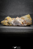 22112 -  Top Pale Blue Fluorite Crystals on Matrix Hameda Fluorite Mine South Morocco