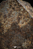 06002 - Nice Polished Section NWA Unclassified L-H Type Ordinary Chondrite Meteorite 18.0g