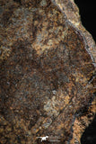06002 - Nice Polished Section NWA Unclassified L-H Type Ordinary Chondrite Meteorite 18.0g