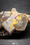22112 -  Top Pale Blue Fluorite Crystals on Matrix Hameda Fluorite Mine South Morocco