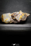 22112 -  Top Pale Blue Fluorite Crystals on Matrix Hameda Fluorite Mine South Morocco