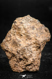 06002 - Nice Polished Section NWA Unclassified L-H Type Ordinary Chondrite Meteorite 18.0g