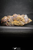 22112 -  Top Pale Blue Fluorite Crystals on Matrix Hameda Fluorite Mine South Morocco