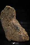 06004 - Nice Polished Section NWA Unclassified L-H Type Ordinary Chondrite Meteorite 15.0g