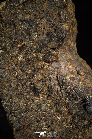 06004 - Nice Polished Section NWA Unclassified L-H Type Ordinary Chondrite Meteorite 15.0g
