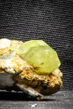 22113 - Lustrous Yellow Green Apatite Crystals on Brecciated Matrix - Imilchil (Morocco)
