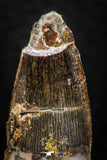 08164 - Nice 1.33 Inch Spinosaurus Dinosaur Tooth Cretaceous KemKem Beds