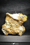 22113 - Lustrous Yellow Green Apatite Crystals on Brecciated Matrix - Imilchil (Morocco)