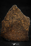 06005 - Beautiful Polished Section NWA Unclassified L-H Type Ordinary Chondrite Meteorite 13.0g