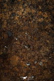 06005 - Beautiful Polished Section NWA Unclassified L-H Type Ordinary Chondrite Meteorite 13.0g