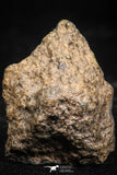06005 - Beautiful Polished Section NWA Unclassified L-H Type Ordinary Chondrite Meteorite 13.0g