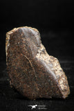 06006 - Beautiful Polished Section NWA Unclassified L-H Type Ordinary Chondrite Meteorite 14.0g