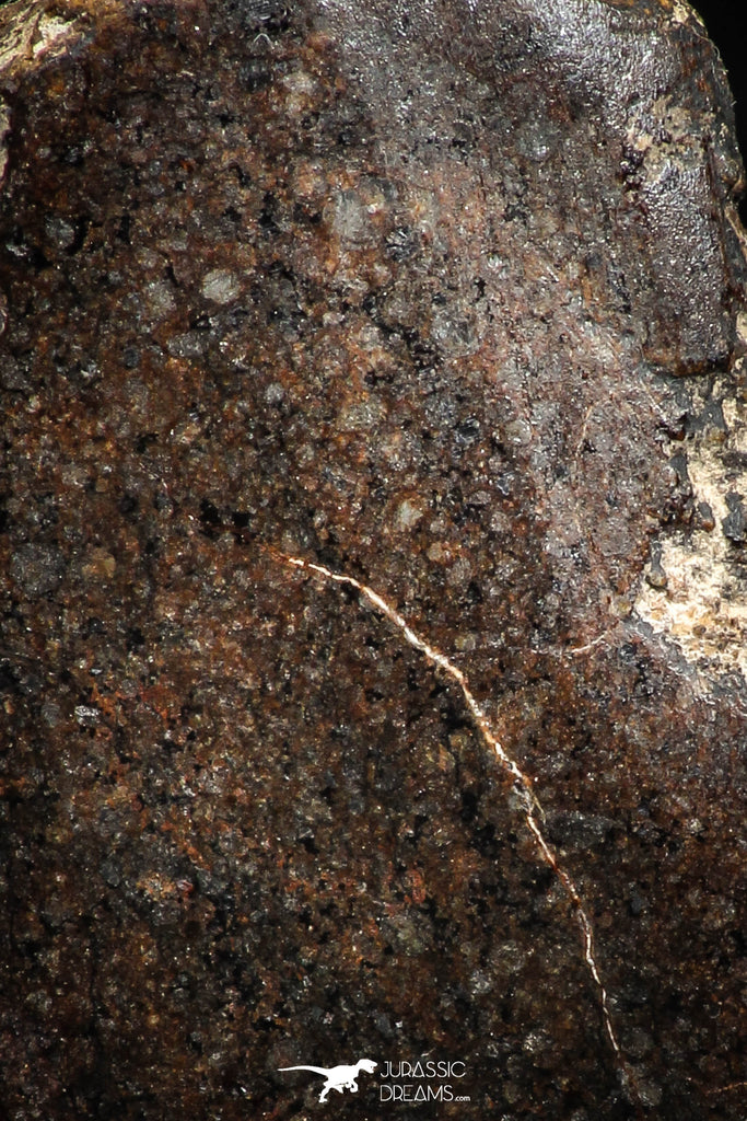 06006 - Beautiful Polished Section NWA Unclassified L-H Type Ordinary Chondrite Meteorite 14.0g