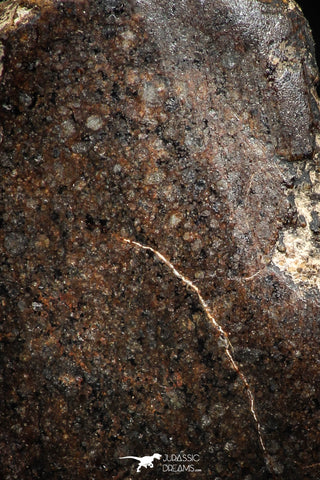 06006 - Beautiful Polished Section NWA Unclassified L-H Type Ordinary Chondrite Meteorite 14.0g