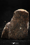 06006 - Beautiful Polished Section NWA Unclassified L-H Type Ordinary Chondrite Meteorite 14.0g