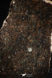 06006 - Beautiful Polished Section NWA Unclassified L-H Type Ordinary Chondrite Meteorite 14.0g
