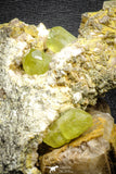 22114 - Lustrous Yellow Green Apatite Crystals on Brecciated Matrix - Imilchil (Morocco)